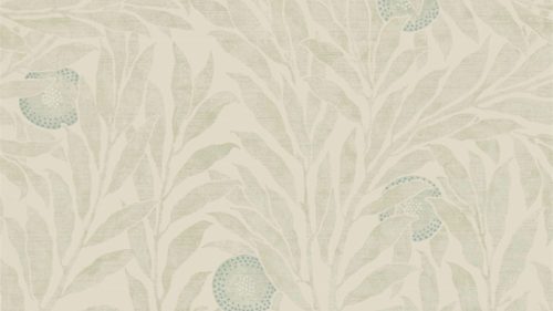Orange Tree 216402